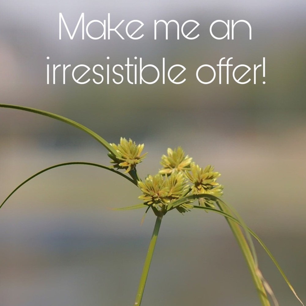 🍀🍀🍀 MAKE ME AN OFFER!   🍀🍀🍀